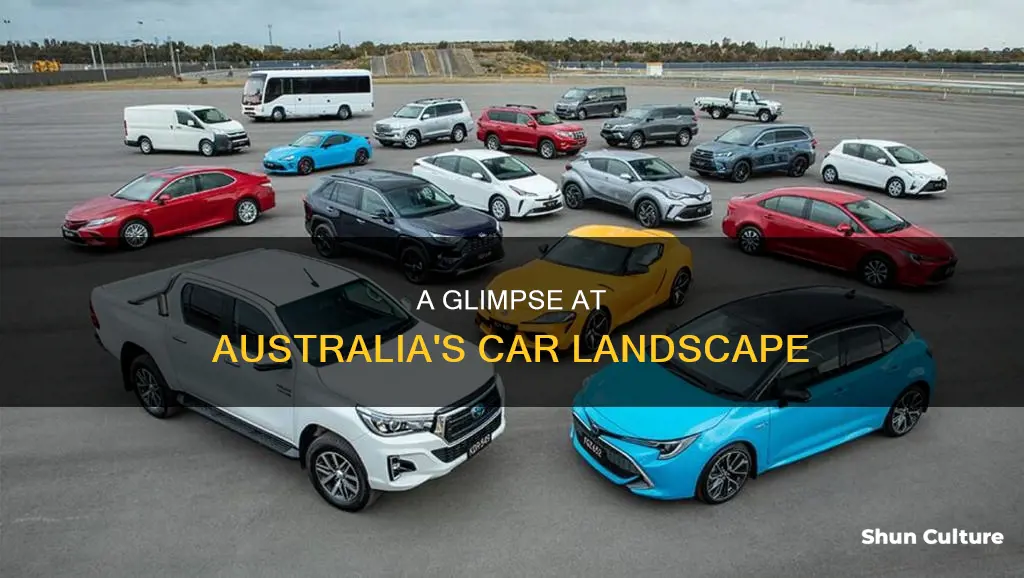 what do most of the cars in australia look like