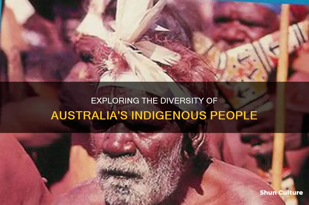 what do native australian look like