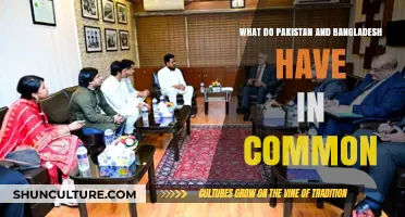 Shared History, Culture, and Beyond: Pakistan and Bangladesh Connections