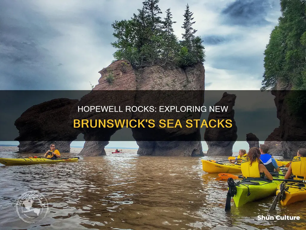 what do people do at hopewell rocks in new brunswick