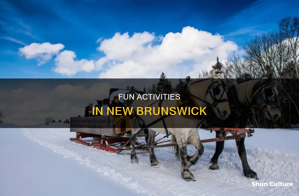 what do people do for fun in new brunswick