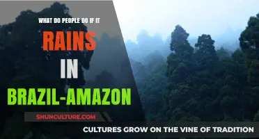 Rainy Day Adventures: Exploring Amazon Life During Brazil's Wet Season