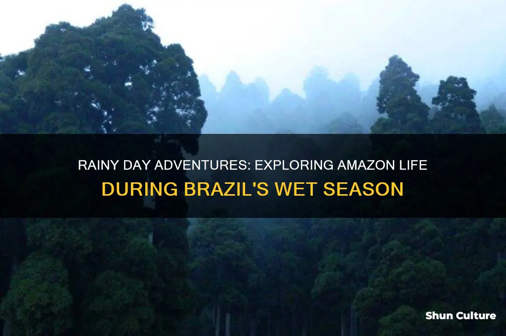 what do people do if it rains in brazil-amazon