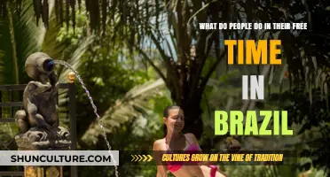 Exploring Brazil's Leisure: Favorite Free Time Activities and Hobbies
