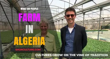 Algeria's Agricultural Diversity: Exploring Crops and Livestock Farming Practices