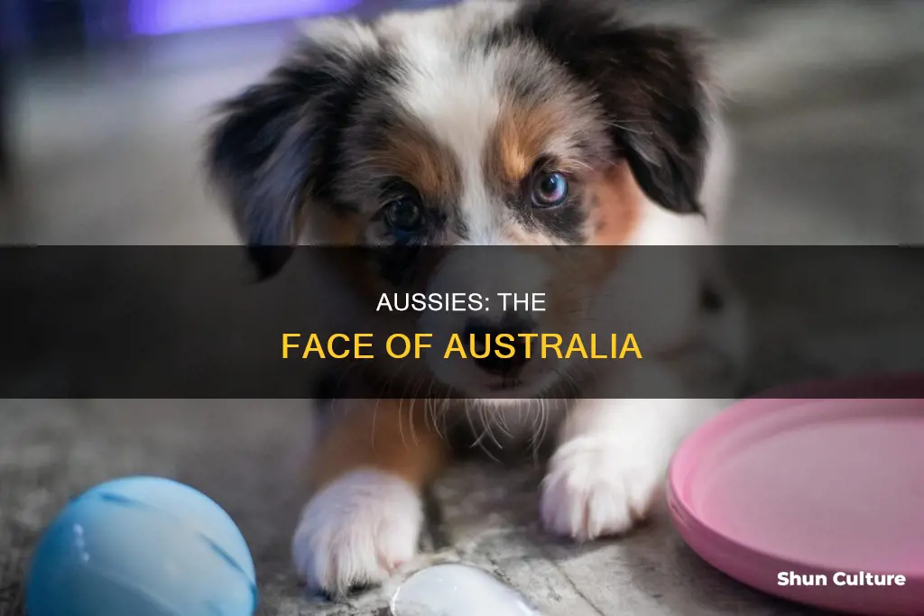 what do people from australia look like