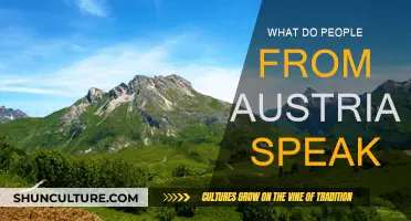 The Language of Austria: What Austrians Speak