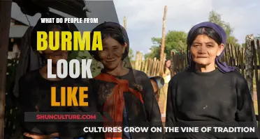 Exploring the Rich Diversity of Appearances in Myanmar