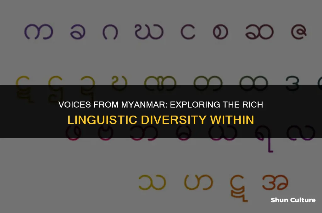 what do people from burma speak