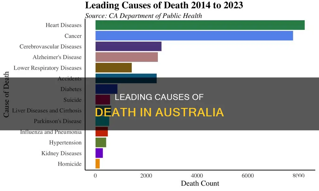 what do people in australia die from