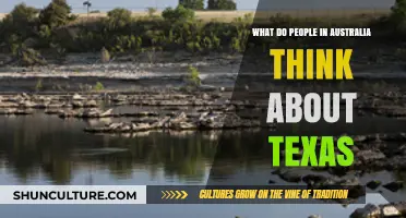 Exploring Texan Reputation: An Aussie Perspective
