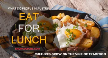 Lunchtime in Austria: Traditional Meals and Modern Favorites