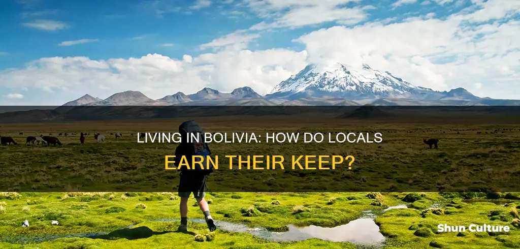 what do people in bolivia do for a living