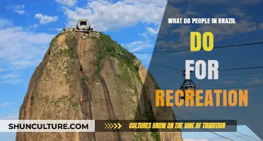 Exploring Brazil's Favorite Pastimes: Recreation and Leisure Activities Revealed