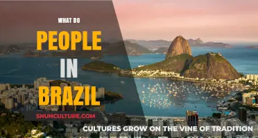 Exploring Brazilian Culture: Daily Life, Traditions, and Passions in Brazil