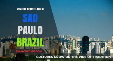 Unveiling São Paulo's Gaps: What Residents Often Lack in Brazil's Metropolis