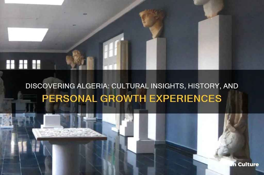 what do people learn from going to algeria