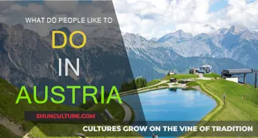 Exploring Austria: Favorite Activities and Pastimes of Austrians