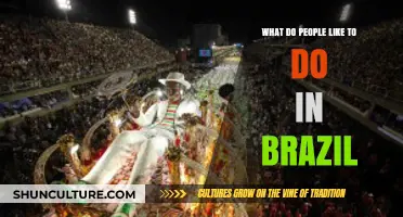Exploring Brazil's Favorite Pastimes: Culture, Festivals, and Adventures
