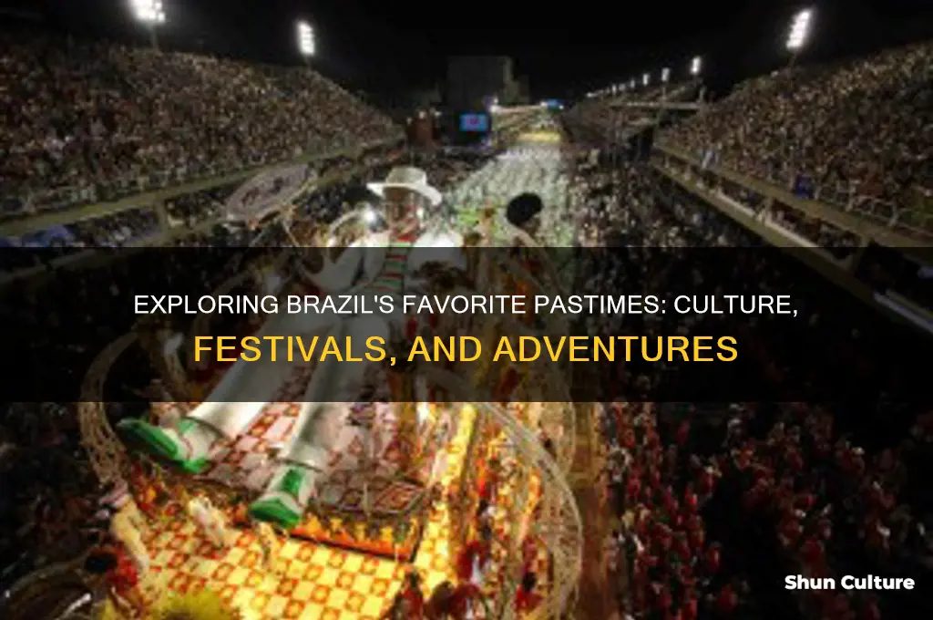 what do people like to do in brazil
