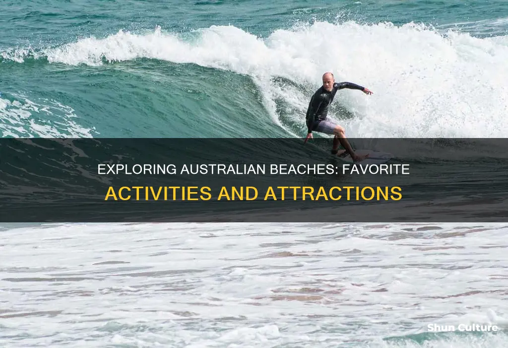 what do people like to do on beaches in australia