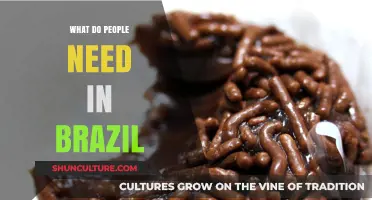 Essential Needs in Brazil: Understanding the Daily Requirements of Brazilians