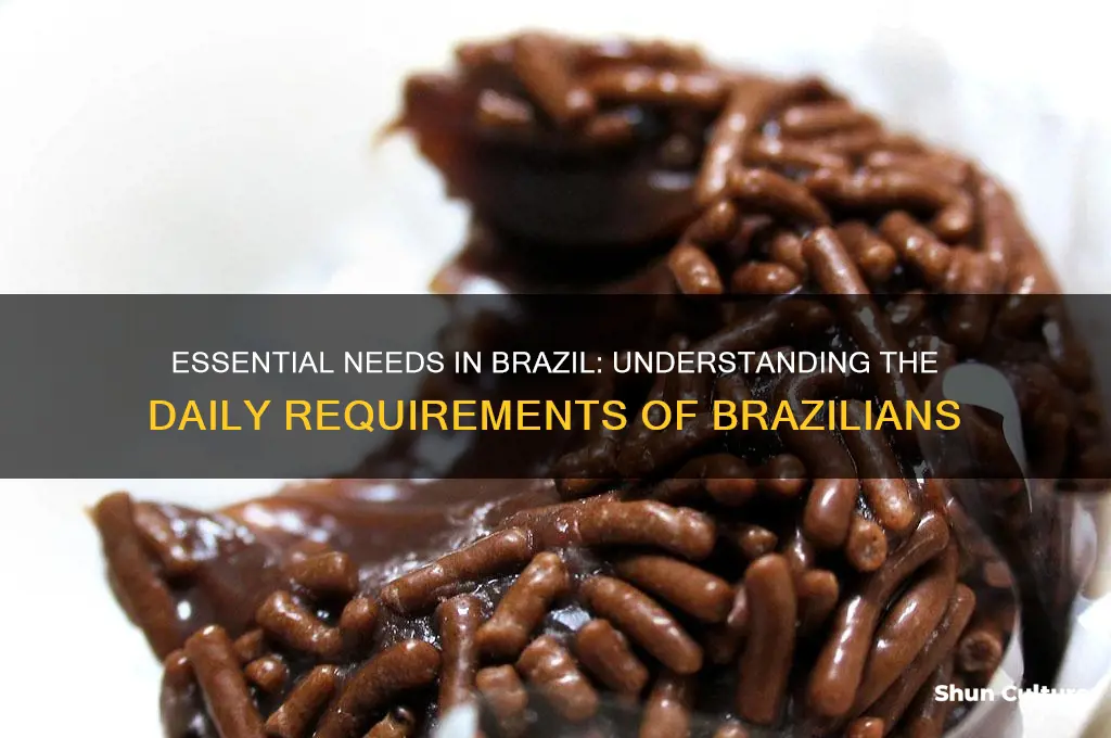 what do people need in brazil
