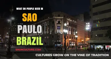Essential Needs and Local Insights for Living in São Paulo, Brazil