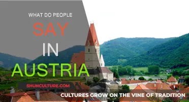 Exploring Austrian Culture Through Their Language and Phrases