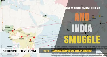 Illicit Trade Routes: Smuggling Between Burma and India