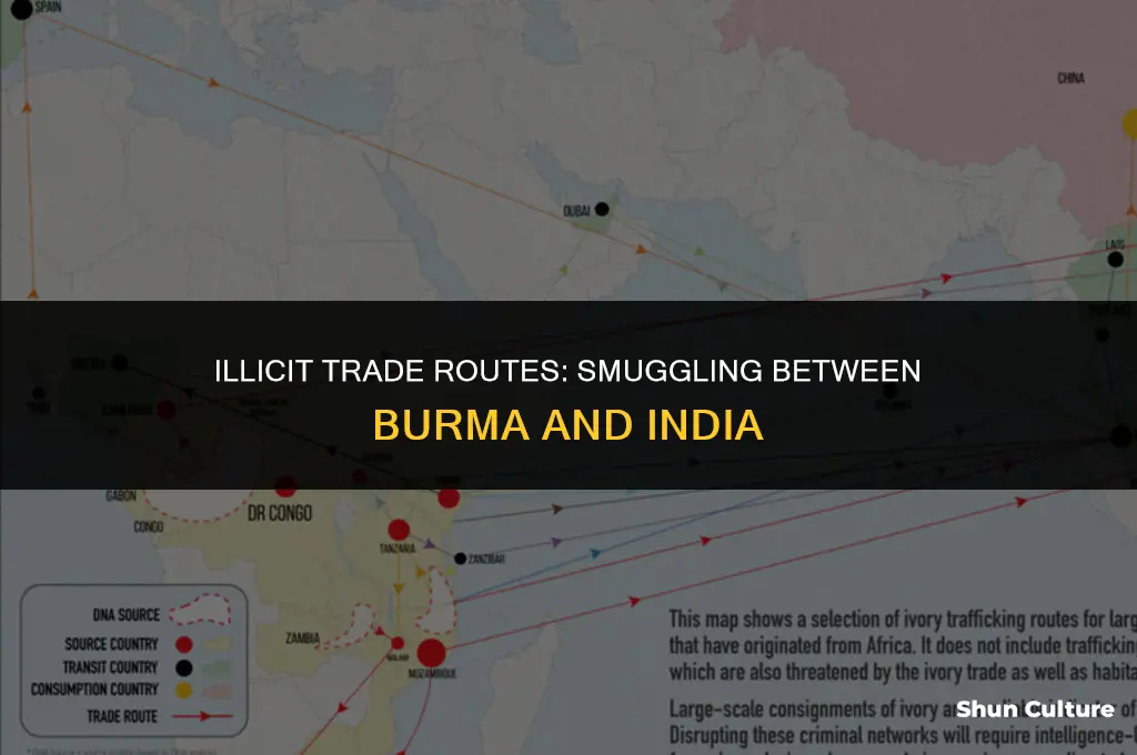 what do people smuggle burma and india smuggle