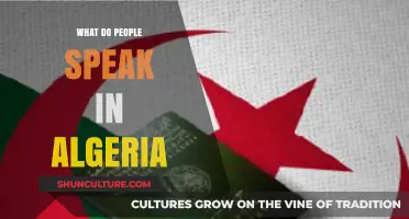 Languages of Algeria: Exploring the Diverse Tongues Spoken Across the Nation