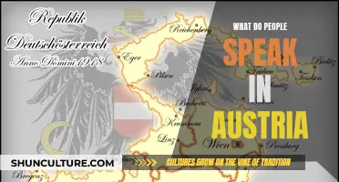 Languages of Austria: What Do Austrians Speak?