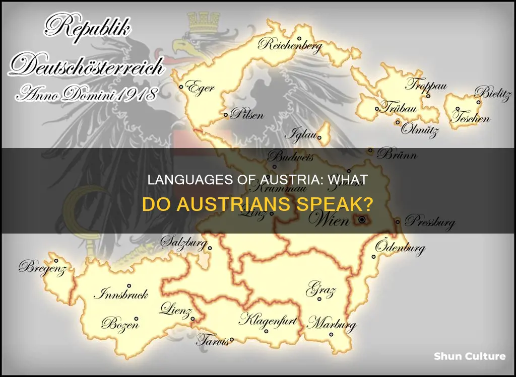 what do people speak in austria