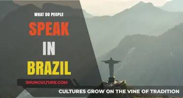 What Language Do Brazilians Speak? Exploring Brazil's Linguistic Diversity
