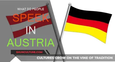 The Language of Austria: What Austrians Speak Daily