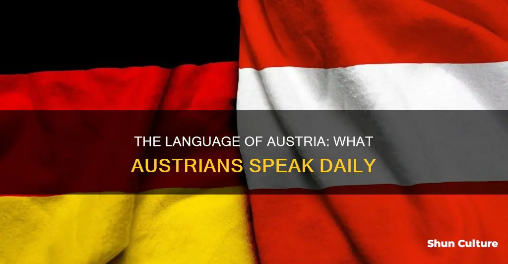 what do people speek in austria