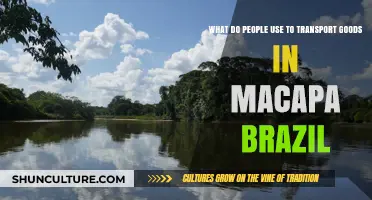Exploring Macapá's Transport Methods for Efficient Goods Delivery in Brazil