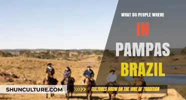 Exploring Traditional Attire in Brazil's Pampas Region: What Locals Wear