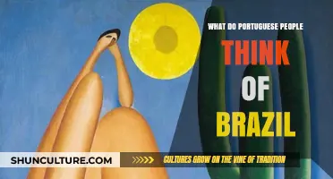 Perceptions of Brazil: Portuguese Insights on Culture, History, and Connections