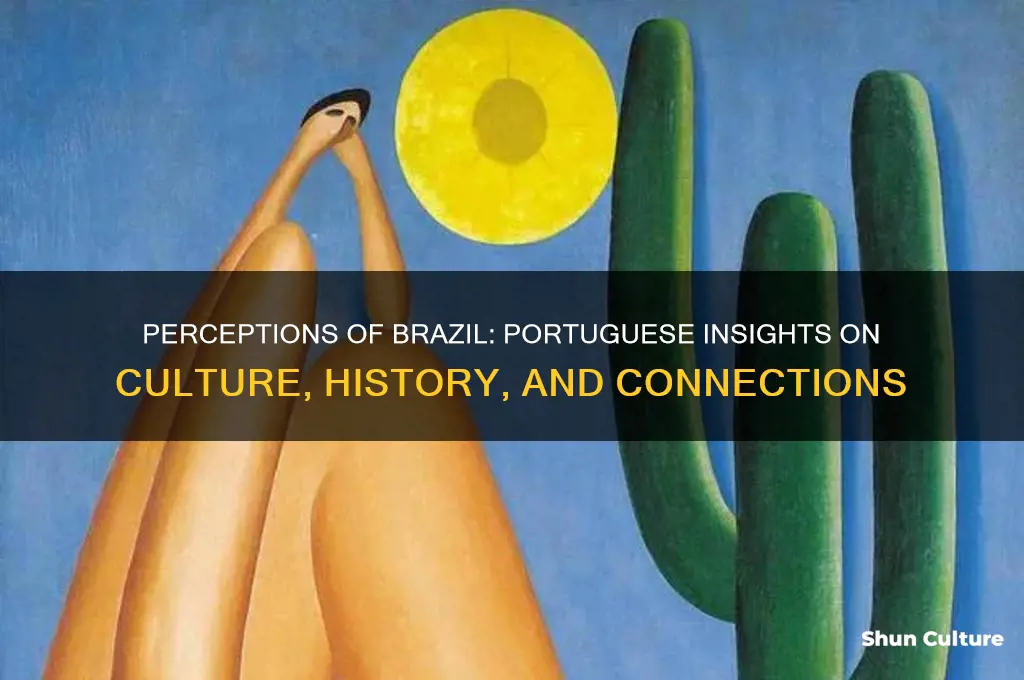what do portuguese people think of brazil