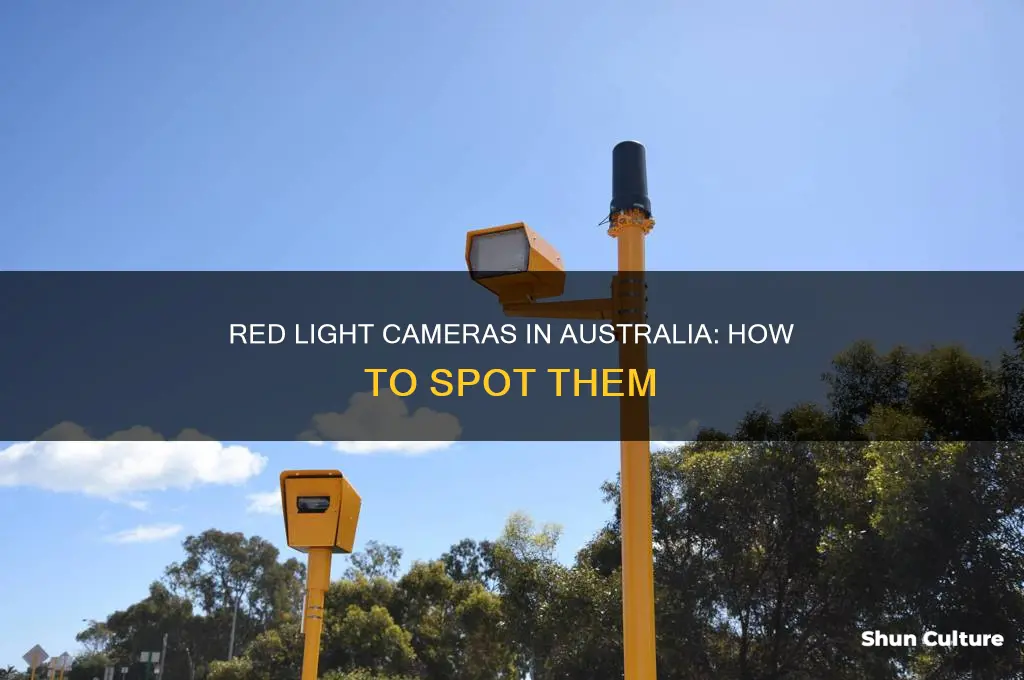 what do red light cameras look like in australia