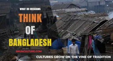 Russian Perspectives on Bangladesh: Cultural Insights and Mutual Impressions