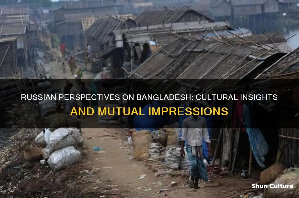 what do russians think of bangladesh