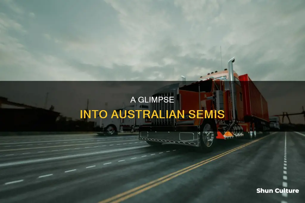 what do semis in australia look like