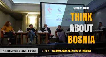 Serbian Perspectives on Bosnia: Historical Ties, Current Views, and Future Relations