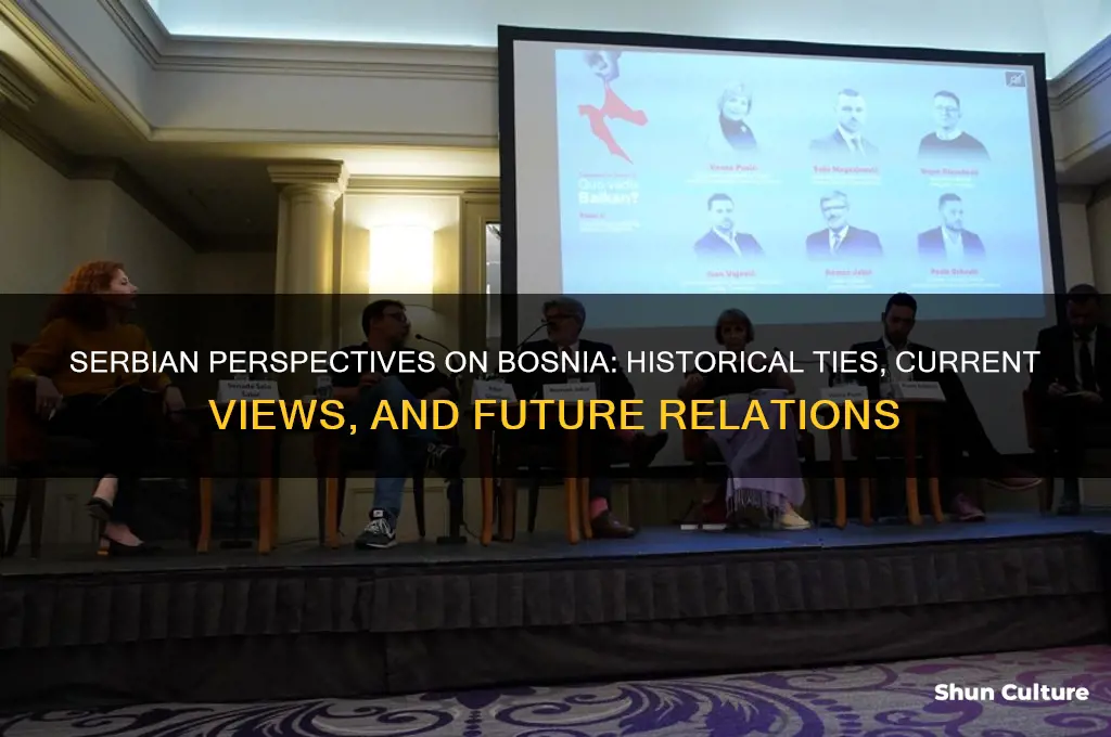 what do serbs think about bosnia