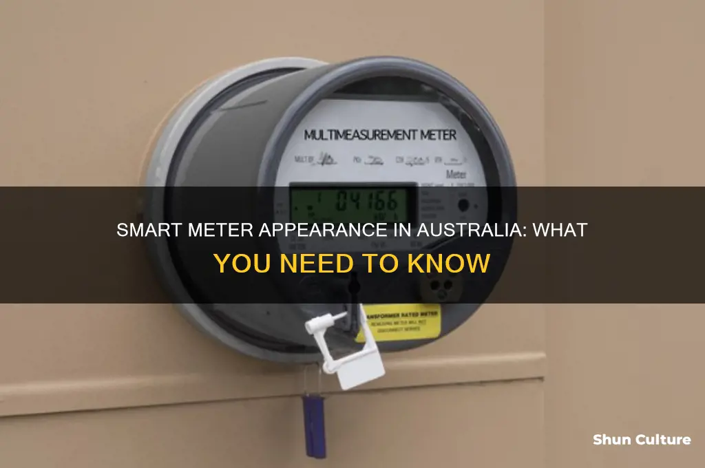 what do smart meters look like in australia