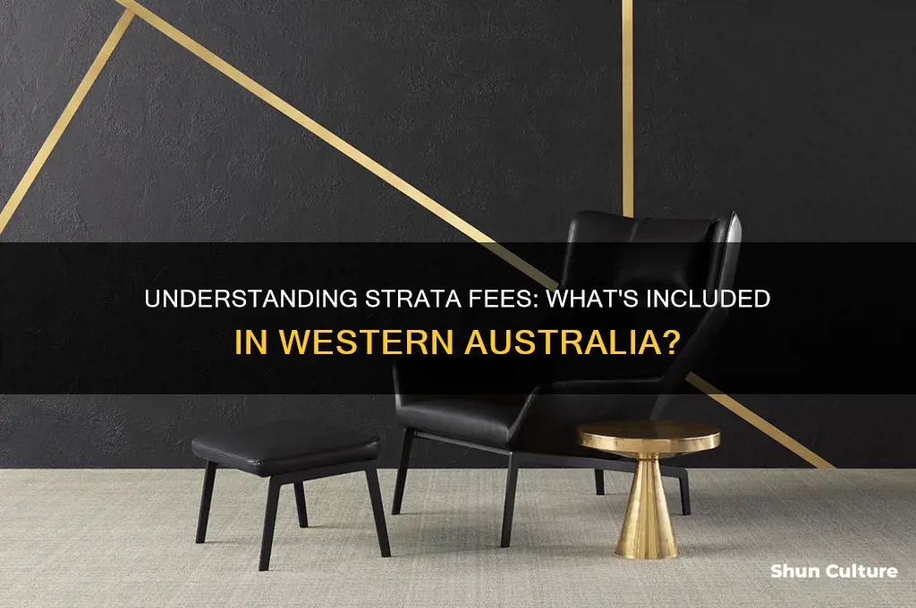 what do strata fees cover western australia