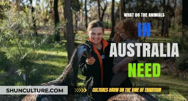 Understanding Australia's Unique Wildlife Needs: Conservation, Habitat, and Survival